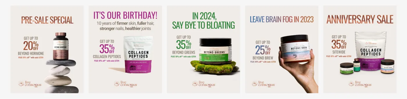 Static display ads created for the Live Conscious 'New Year, New You' ad campaign